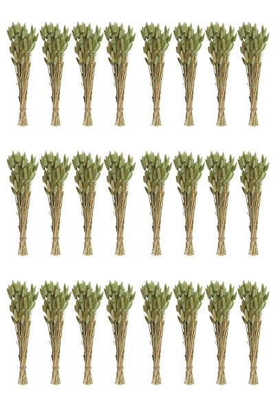 Hello Honey® 15" Dried Natural Bunny Tail Grass Bunches, 24ct.