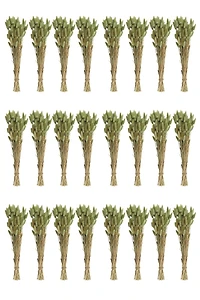 Hello Honey® 15" Dried Natural Bunny Tail Grass Bunches, 24ct.