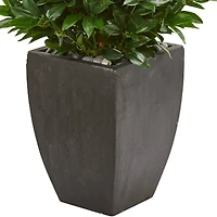 4.6ft. UV Resistant Bay Leaf Cone Topiary Artificial Tree in Black Planter 