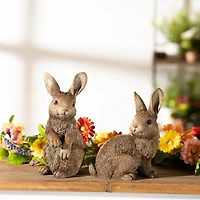 Garden Bunny Rabbit Figurines Set