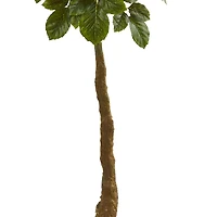 5ft. Potted Beech Leaf Artificial Tree