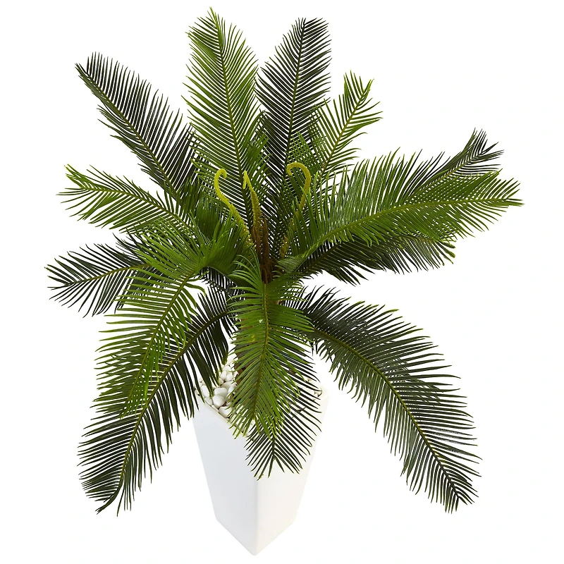 3ft. Sago Palm Tree in White Tower Planter