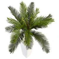 3ft. Sago Palm Tree in White Tower Planter