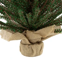 18" Unlit Warsaw Twig Artificial Christmas Tree in Burlap Base