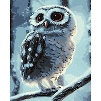 Ideyka A Miracle Worker Painting by Numbers Kit