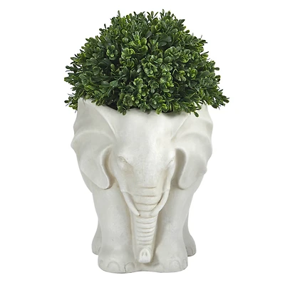 16" Boxwood Topiary Plant in Elephant Shaped Planter