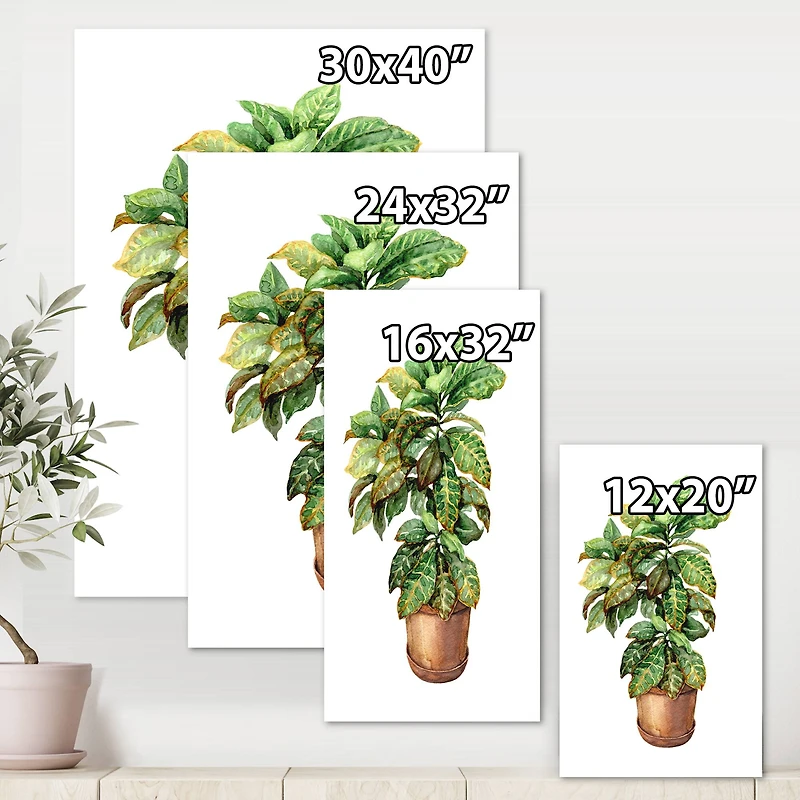 Designart - Croton In Clay Flowerpot