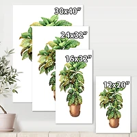 Designart - Croton In Clay Flowerpot