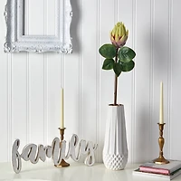 Green King Protea Stem, 4ct.