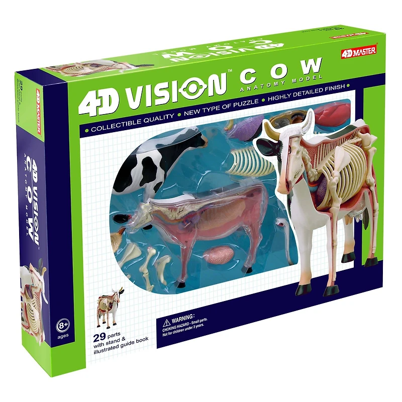 4D Vision™ Cow Anatomy Model