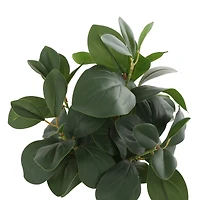 14" Faux Foliage Artificial Plant in White Pot