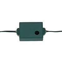 2ft. Boxwood Single Ball Topiary With Multi-Function LED Lights