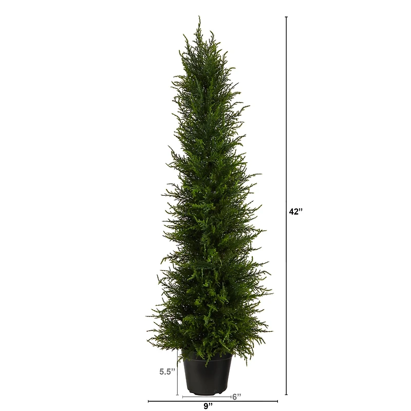 3.5ft. Potted Cypress Tree