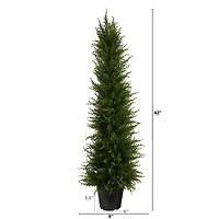 3.5ft. Potted Cypress Tree