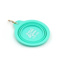 Teal Collapsible Pet Bowl by Fab Finds