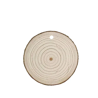 3.25" Rustic Round DIY Pinewood Ornaments, 30ct. by Ashland®