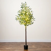 6ft. Potted Pre-Lit Artificial Olive Tree with Warm White LED Lights