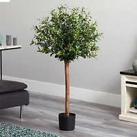 4ft. Potted Olive Topiary Tree
