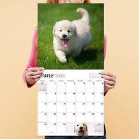 2026 Puppies Wall Calendar