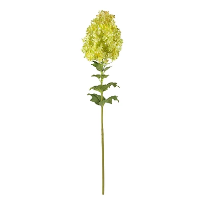Green Peegee Hydrangea Flower Stem, 2ct.