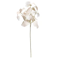 27.5" Cream Eucalyptus Stem by Ashland®