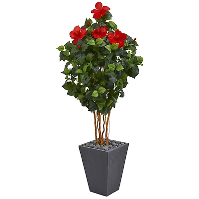 5ft. Hibiscus Tree in Slate Planter