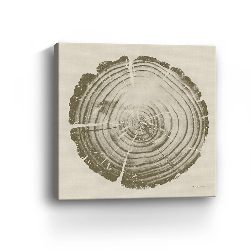 Tree Trunk Cream II Canvas Giclee
