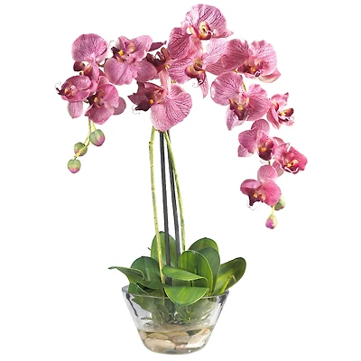18" Moth Orchid Arrangement in Glass Vase