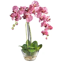 18" Moth Orchid Arrangement in Glass Vase