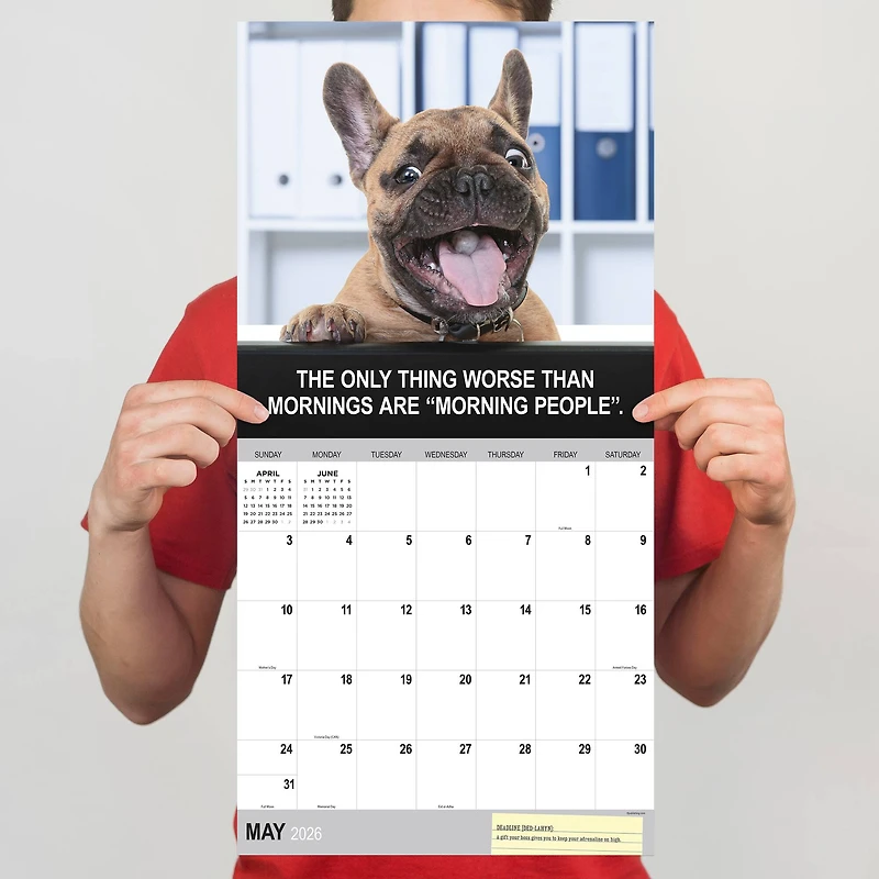 2026 Desk Dogs Wall Calendar