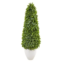 4.5ft. Eucalyptus Topiary Tree in White Planter