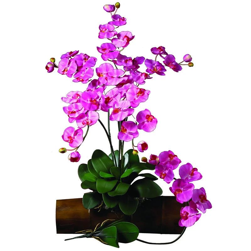 Dark Pink Moth Orchid Stem, 6ct.