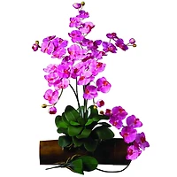 Dark Pink Moth Orchid Stem, 6ct.