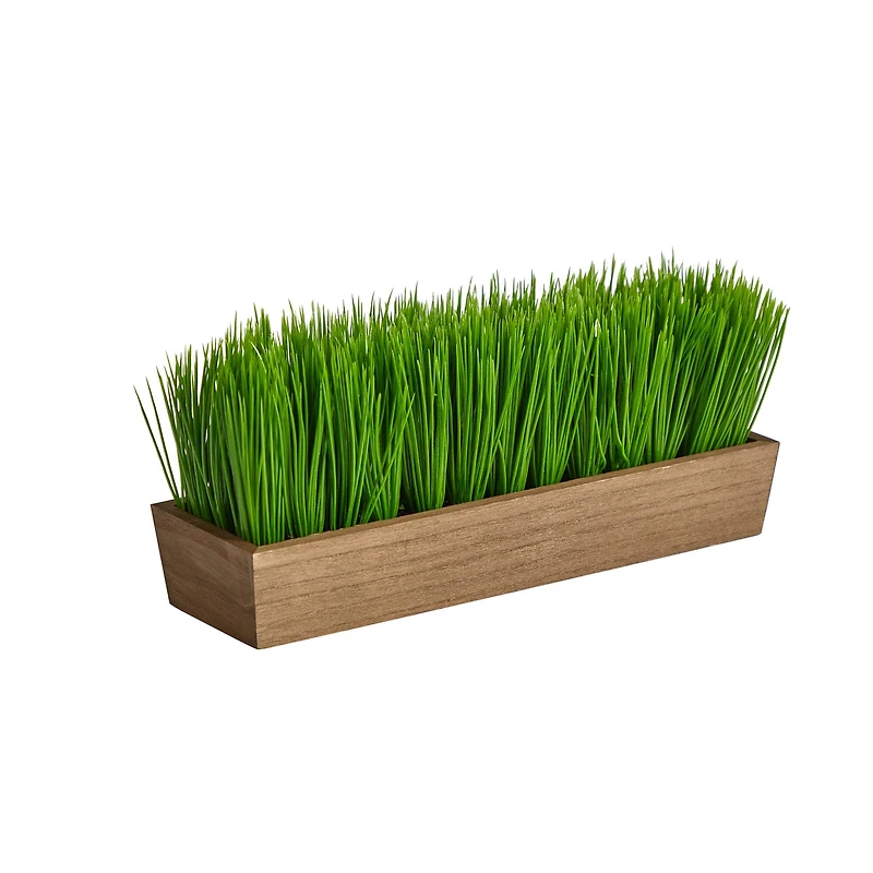 5" Grass Plant in Decorative Planter