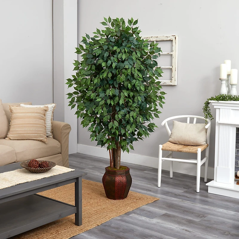 6ft. Ficus Tree with Decorative Planter