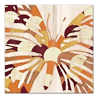 Spice Tone Butterfly Sillhouette 20" x 20" Canvas Wall Art