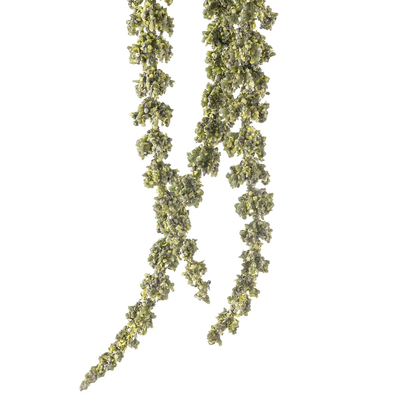 12 Pack: Green Amaranthus Stem by Ashland®