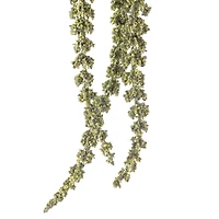 12 Pack: Green Amaranthus Stem by Ashland®