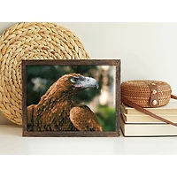 Simply Dotz® Intermediate Majesty Diamond Painting Kit