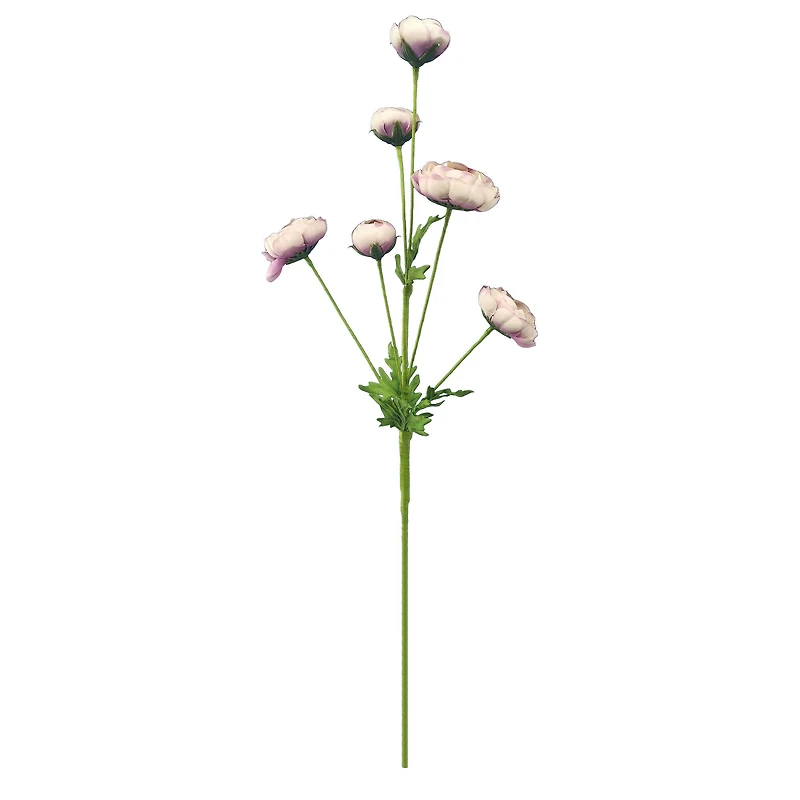 32" Ranunculus Stem with Leaves by Ashland