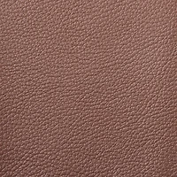 Leather Trim by ArtMinds™