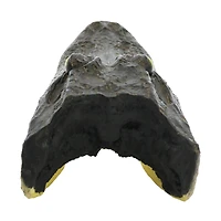 10.5" Alligator Head Tabletop Accent by Ashland®