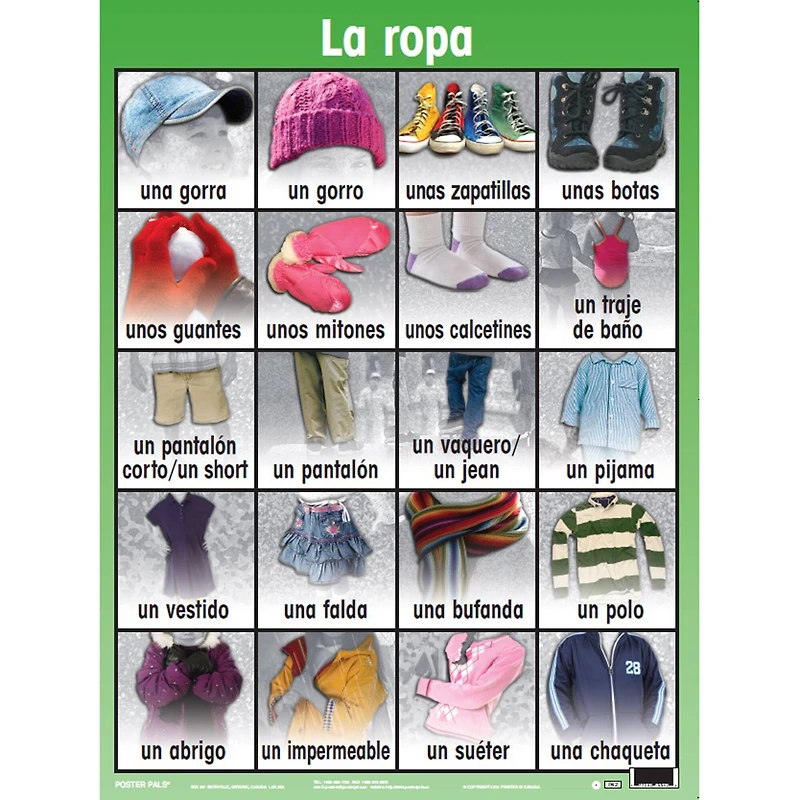 Poster Pals® Spanish Essential Classroom Posters, 7ct.