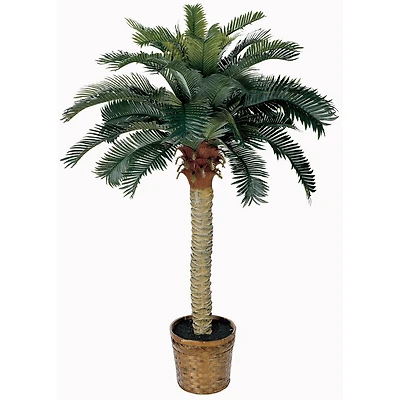 4ft. Sago Silk Palm Tree in Wicker Basket Pot