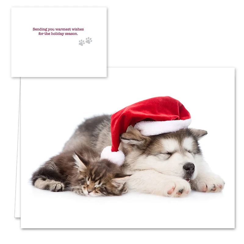 Hortense B. Hewitt Co. Christmas Cats Holiday Cards