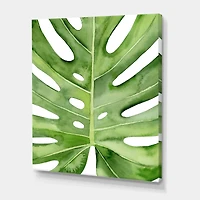 Designart - Green Monstera Leaf Tropical Palm Botanical Detail