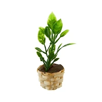 Mini Potted Plant by Make Market®