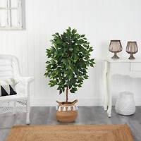 4ft. Ficus Artificial Tree in Boho Chic Handmade Natural Cotton Woven Planter with Tassels