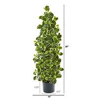 3.5ft. Potted Real Touch™ Variegated Holly Leaf Tree