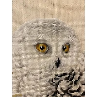 RIOLIS White Owl Counted Cross-Stitch Kit